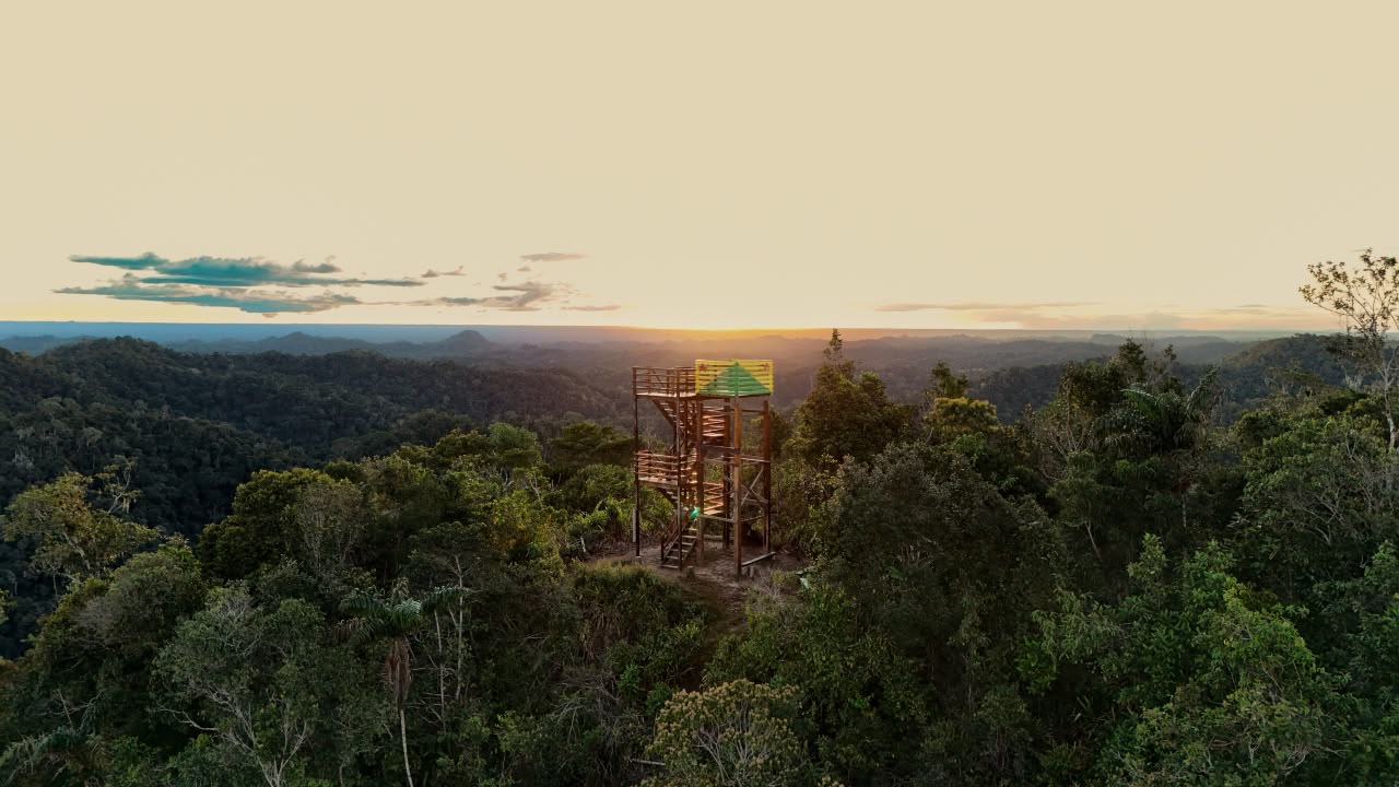 Mirante de madeira acima da floresta ao pôr do sol