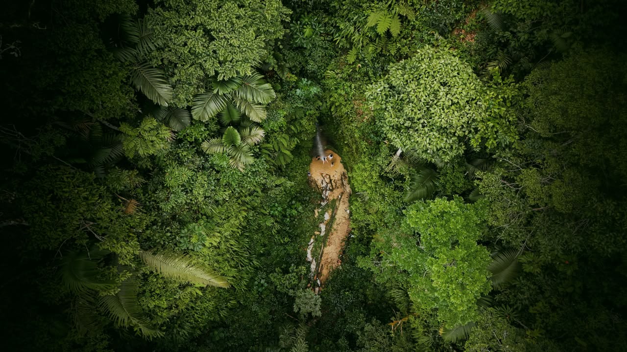 Cachoeira vista de cima, cercada pela mata